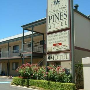 Фотографии мотеля 
            Armidale Pines Motel