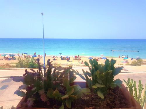 Фотография гостевого дома Holiday House Mizzica che mare!