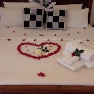 Фотография гостиницы Yaluwa Tourist Rest