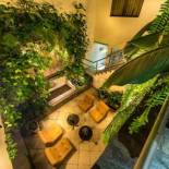 Фотография апарт отеля Casa Fanning Hotel