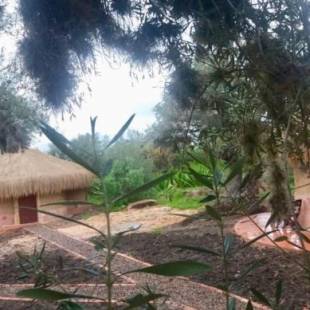 Фотографии мини отеля
Habitaciones Luna y Sol Muisca