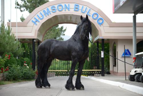 Фотографии гостиницы
Humson Buloq Sanatorium