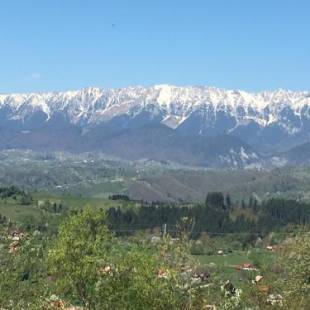 Фотографии гостевого дома
Casa de la Bran