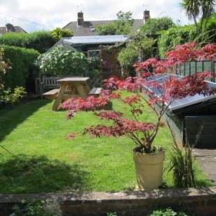 Фотографии мини отеля 
            Perfect for Petersfield B&B