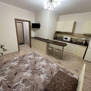 Фотография квартиры Апартаменты в ЖК Академ Риверсайд на улице Братьев Кашириных 117