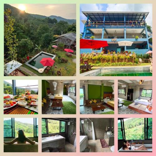 Фотография гостиницы บ้านภูคำฟ้า ดอยปู่ไข่ Baan Phu Kham Fah