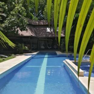 Фотографии гостиницы
The Gardens Hotel