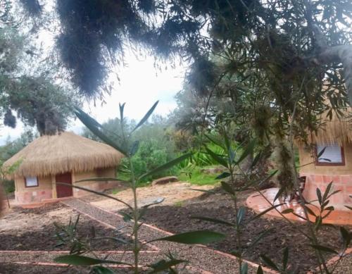 Фотография мини отеля Habitaciones Luna y Sol Muisca