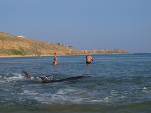 Фотографии гостевого дома 
            Петрова Хата