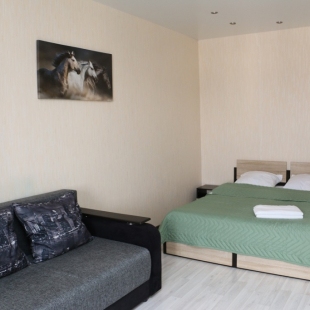 Фотография квартиры Апартаменты Квартира в центре с видом на город