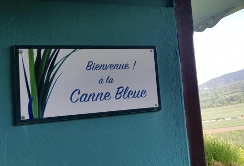 Фотографии гостевого дома 
            La Canne Bleue