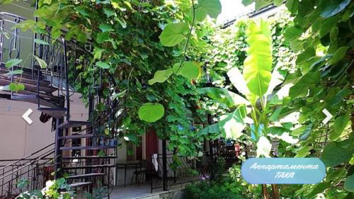 Фотография гостиницы Студенческий