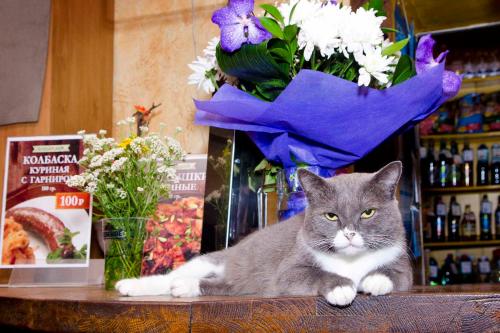 Фотографии гостиницы
Свежесть