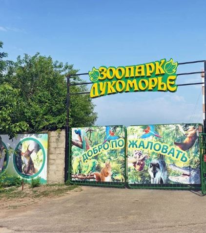 Фотографии достопримечательности 
            Зоопарк Лукоморье