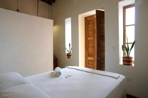 Фотографии хостела 
            Tunido