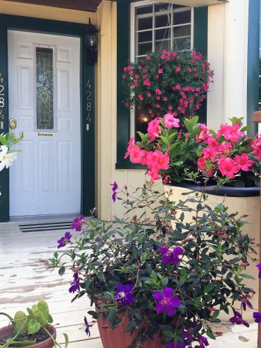 Фотография мини отеля Ellis House Bed & Breakfast