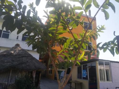 Фотография мини отеля Madhukunda Homestay