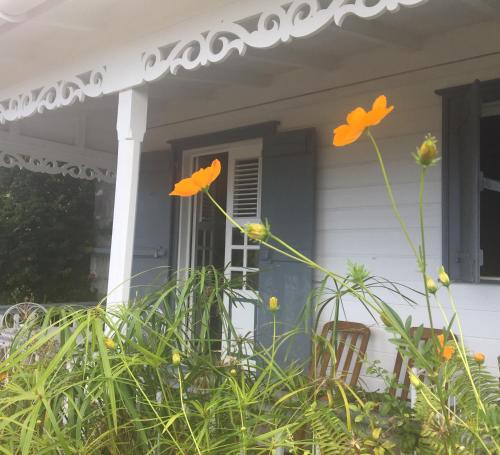 Фотография мини отеля Habitation La Reine du Camp Chambres d'Hôtes