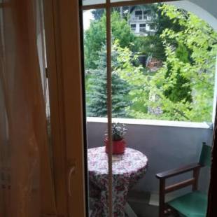 Фотографии гостевого дома
Vila Kraljica Vrdnik