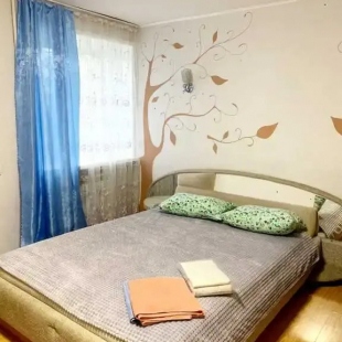 Фотография квартиры Апартаменты на Карла Маркса 108-1