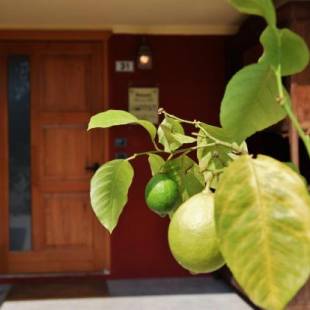 Фотографии базы отдыха 
            Resort Bacca Blu