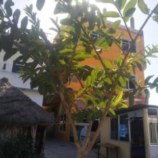 Фотографии мини отеля
Madhukunda Homestay