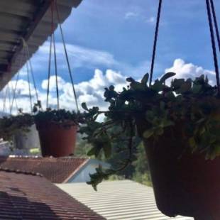 Фотографии мини отеля
Dear Dino Villa Cameron Highlands