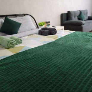 Фотография квартиры Апартаменты Уютная квартира в районе аэропорта