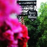 Фотография гостиницы Hotel Montovani
