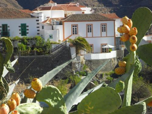 Фотография гостевого дома Casa Rural Las Cáscaras Tejeda Gran Canaria