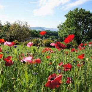 Фотографии гостевого дома
Domaine des Marequiers Le Gite Asphodèle