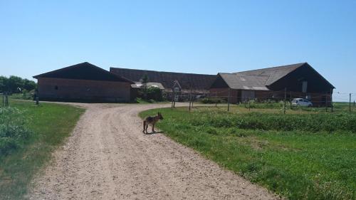 Фотография гостевого дома Ferienzimmervermietung Reitferien