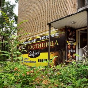 Фотография гостиницы Аурум