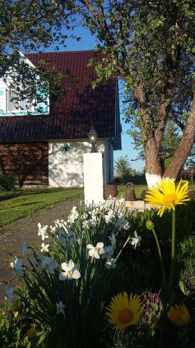 Фотографии гостевого дома 
            На Михалях