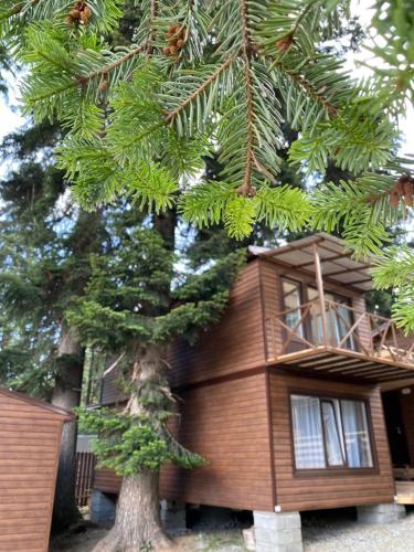 Фотография гостиницы Усадьба Горная Лаванда