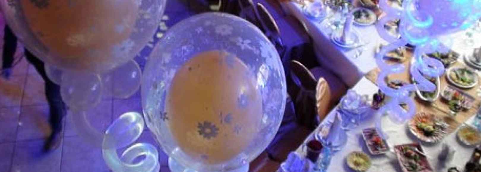 Фотография банкетного зала ВЕТЛА