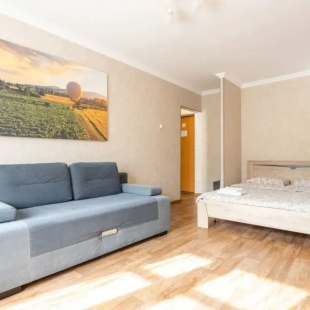 Фотография квартиры Апартаменты Однокомнатные Воздушная гавань 3