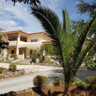 Фотографии мини отеля
Villa Venus Woods