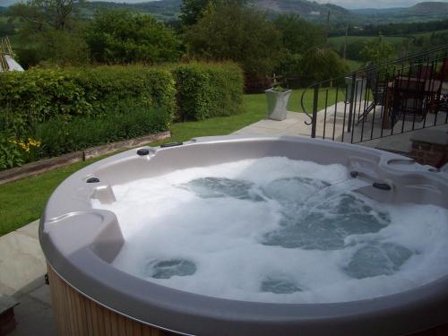 Фотография гостевого дома Irfon Cottage