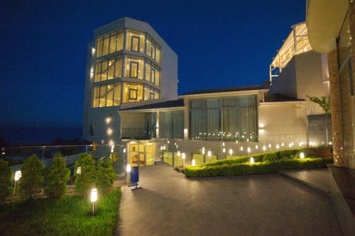 Фотография гостиницы Excelsior