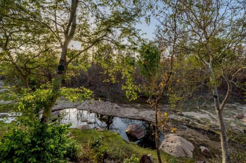 Фотографии гостиницы
The Riverwood Forest Retreat Pench