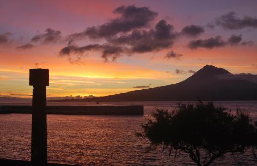 Фотография гостевого дома Residência Machado