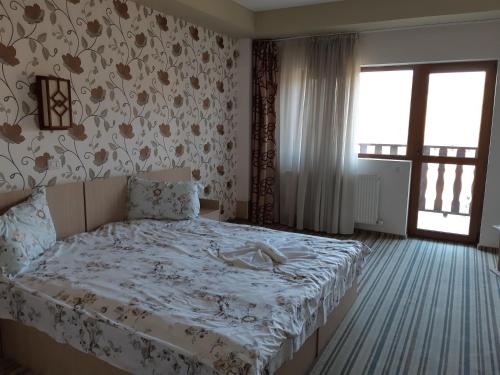 Фотография гостевого дома Pensiunea Arido