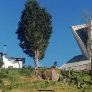 Фотографии гостиницы
Hotel El Cangrejo