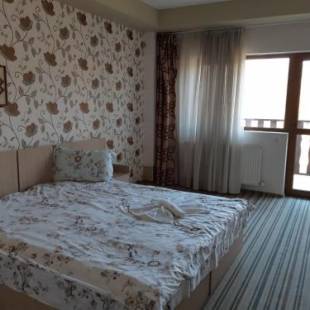 Фотографии гостевого дома
Pensiunea Arido