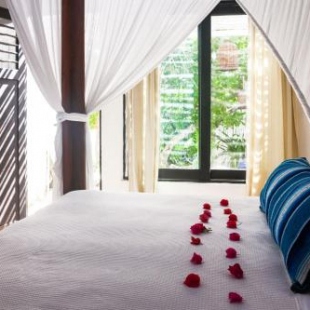 Фотография гостиницы Casa Violeta