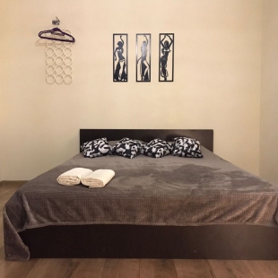 Фотография квартиры Апартаменты Однокомнатная квартира