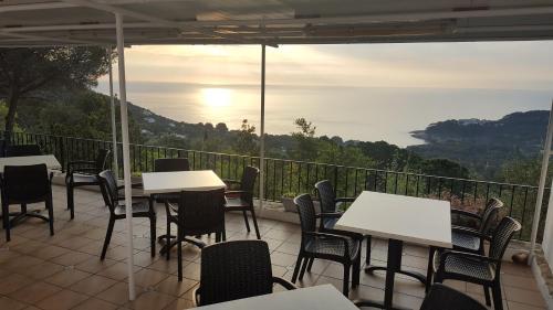 Фотография гостиницы Hostal Sa Barraca - Adults Only