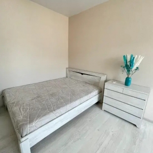 Фотография квартиры Апартаменты Однокомнатная с 4 мя местами Больничная 2_8