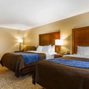 Фотографии гостиницы
Comfort Inn & Suites Redwood Country